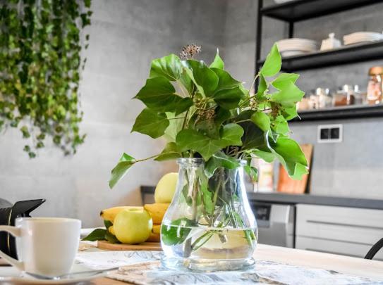 Atlas Chmur Apartament Bialy Dunajec Luaran gambar
